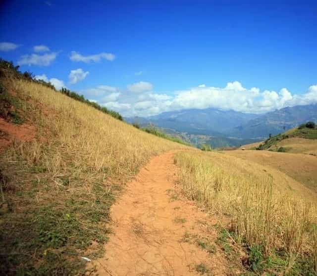 「恐竜の背中」のような雄大な景色が目の前に広がる
