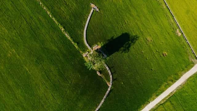 This old brick kiln, nestled amidst lush green rice fields in Vinh Nam hamlet, Duy Vinh commune, Duy Xuyen district, Quang Nam province, is approximately 5km from Hoi An City.