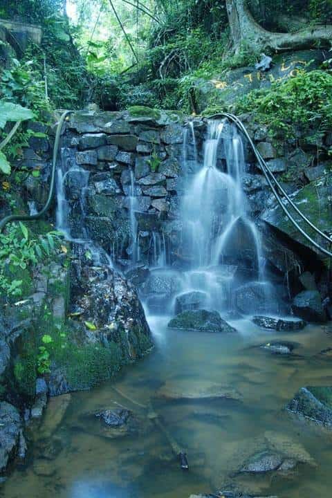 Cấm Sơn in the season of joyfully singing streams