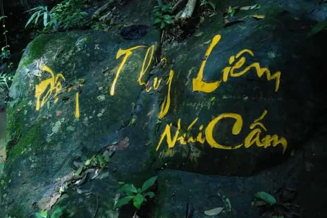 Moss-covered, solemn rock face steeped in the colors of time