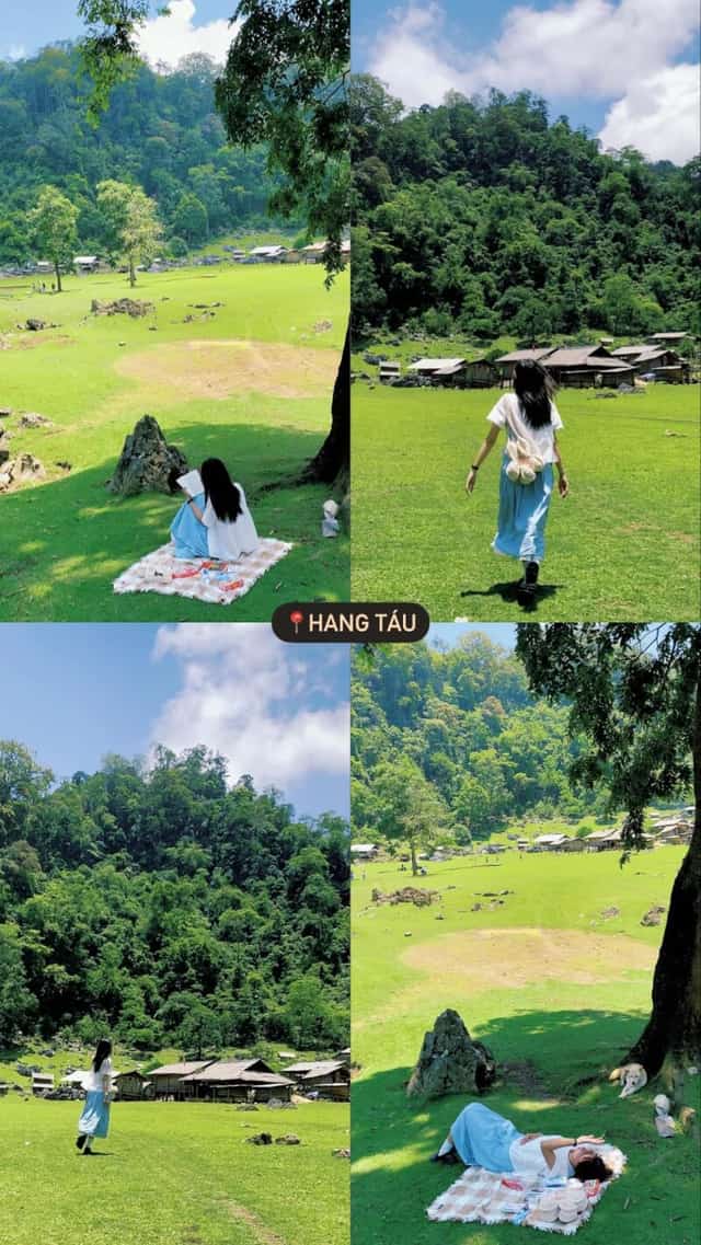 木州避暑，在果园里品尝香甜李子 - 图2