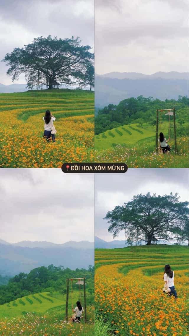 绝美花海山丘。