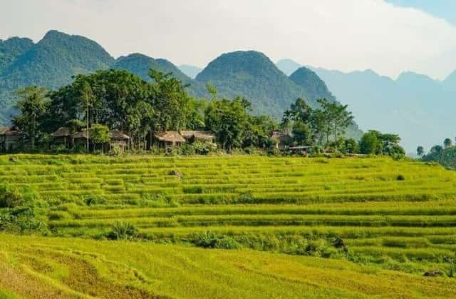 Pù Luông hiện là điểm đến hấp dẫn của du khách trong và ngoài nước