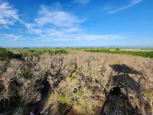 この美しい日差しの季節は、地元の人々や観光客がルー・チャーに集まり、写真を撮ったり、探索したりするのに最適な時期です。
