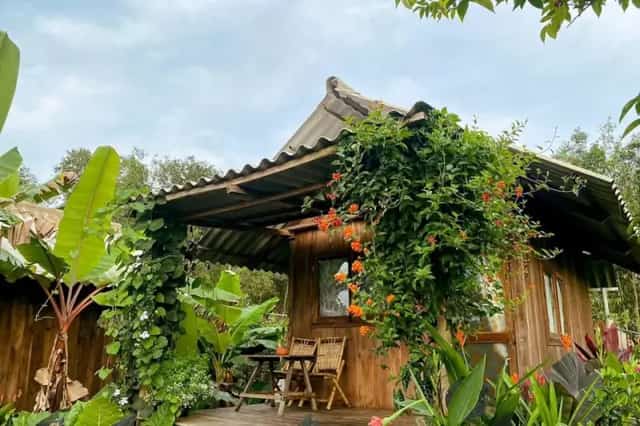Một góc Khu du lịch sinh thái Hoa Rừng U Minh