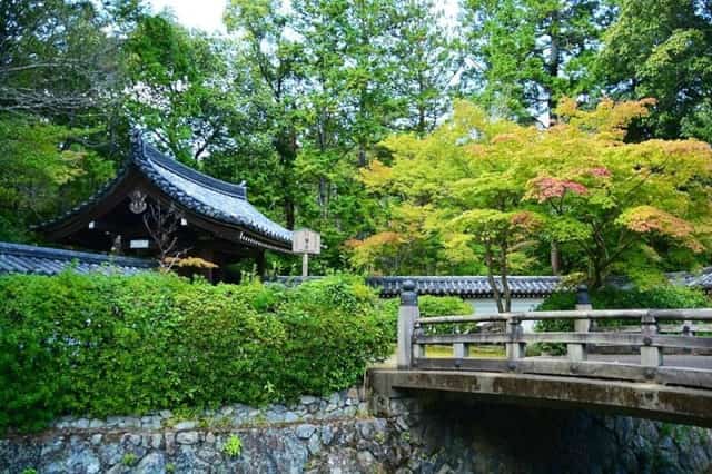 Đền Saiho-ji, ngôi đền tuyệt đẹp ở chân đồi phía tây Kyoto với những mảng rêu độc đáo tuyệt đẹp. (Ảnh: The Travel)