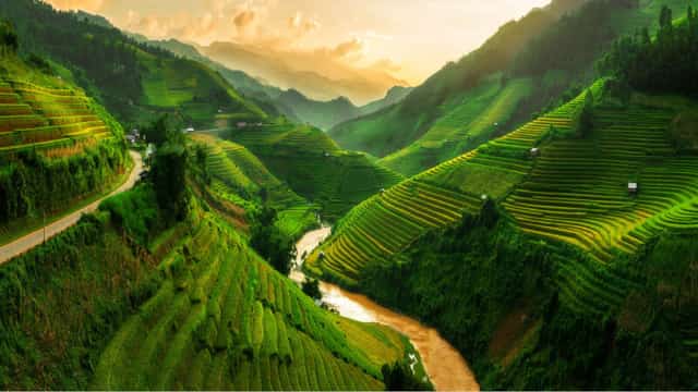 SaPa Việt Nam
