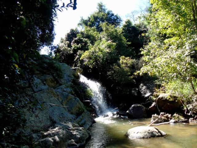 The pristine, peaceful look is the interesting highlight of this stream