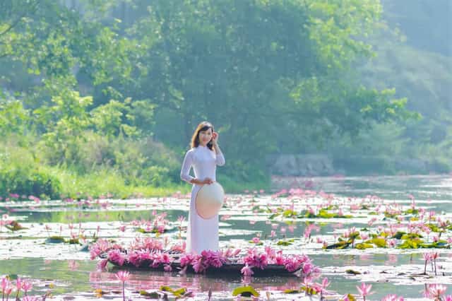 지금은 연꽃이 한창 피어나는 시기로, 많은 여행객이 즐겁게 인증샷을 남기기 위해 찾아옵니다