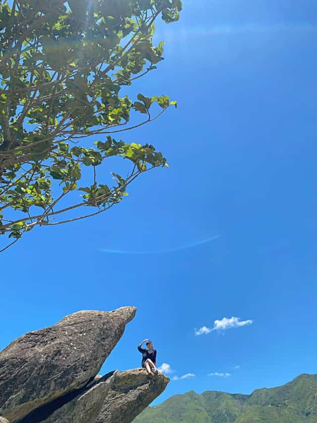 ユニークなイルカの形をした岩