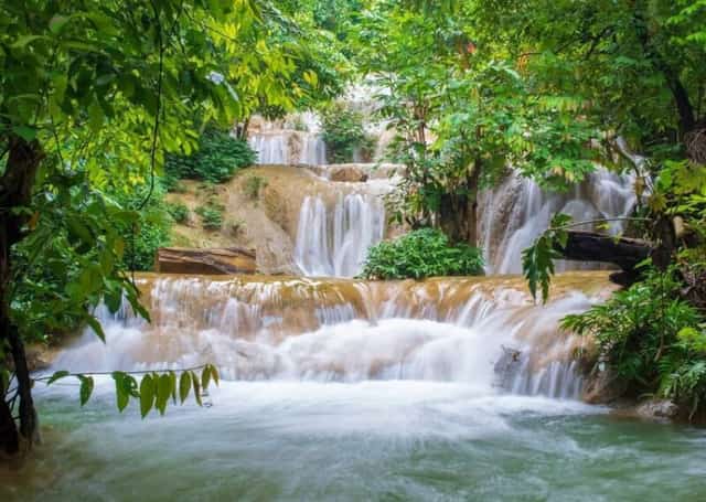 Thác nước được che chở bởi những cây cổ thụ của núi rừng Võ Nhai