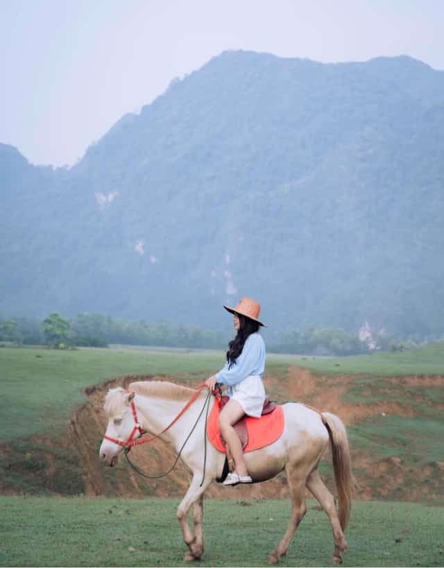 동럼에서 승마를 즐기다