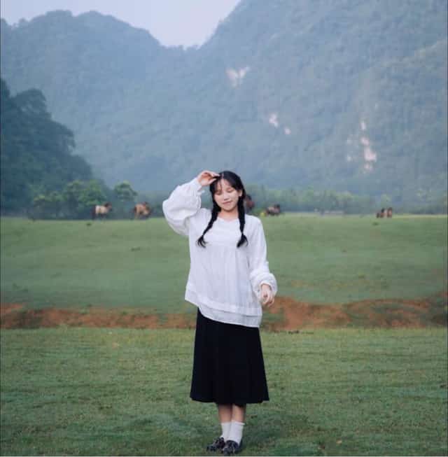 동럼 초원의 푸른 초원에서 사진 촬영