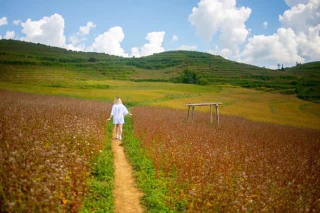 Du khách lưu lại những tấm hình đẹp khi ở thảo nguyên Suôi Thầu