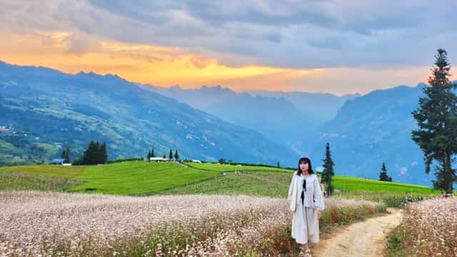 Những hình ảnh chụp ở thảo nguyên Suôi Thầu được du khách Thương Thương đến từ Hà Nội chia sẻ