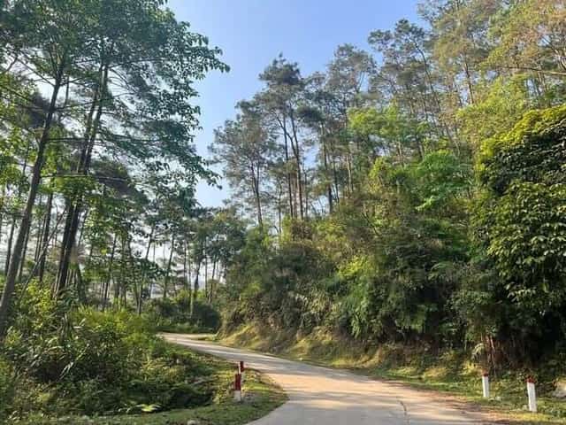 Cung đường đèo uốn lượn đi qua một phần bảo tồn thiên nhiên Đồng Sơn với những cánh rừng nguyên sinh
