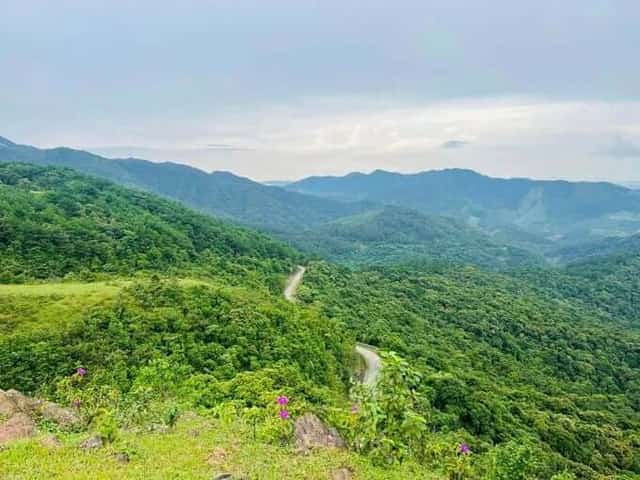 保護区の原生林は緑豊かで、どこまでも続く山の景色
