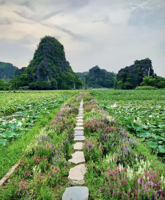 浪漫花径