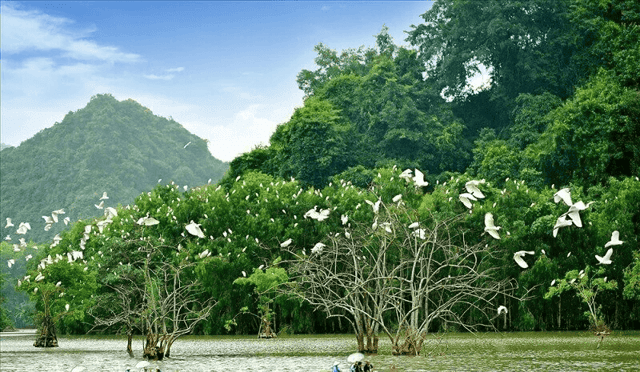 Thung Nham Bird Garden