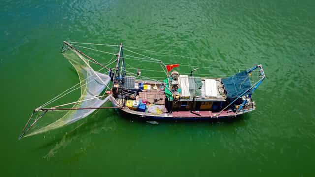 Lan Ha Bay recognized by the World's Most Beautiful Bays Club.