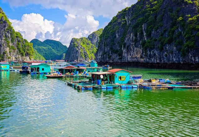 Cai Beo Ancient Fishing Village is where visitors can learn about the lives of residents who have been connected to Lan Ha Bay for generations.