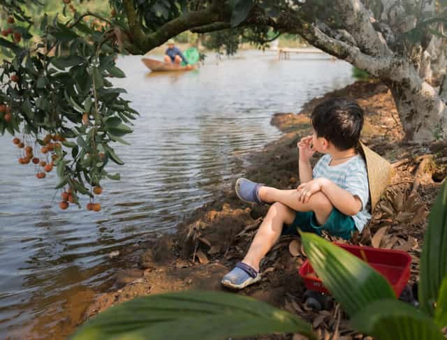 Em bé đội nón ngồi bên bờ sông ngắm nhìn du khách ngồi ghe hái vải