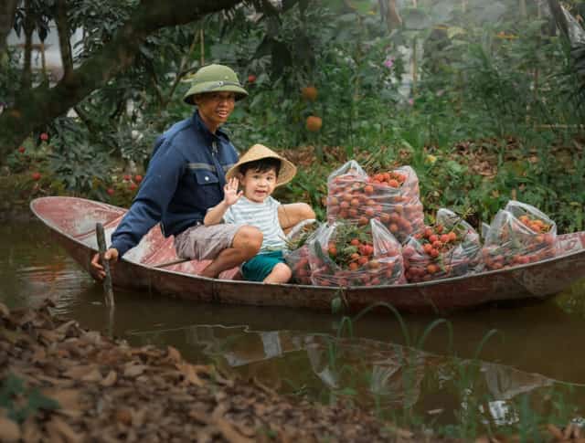 Du khách ngồi ghe hái vải, thưởng thức quả chín mọng, thơm ngon ở Hải Dương