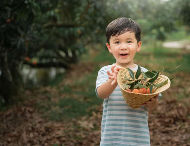 Em bé tươi cười rạng rỡ cầm chiếc nón lá chứa đầy quả vải chín mọng