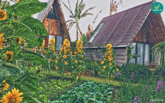 Buon's Garden