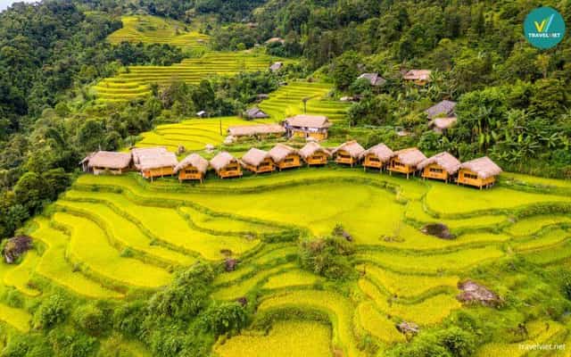 Hoàng Su Phì Lodge