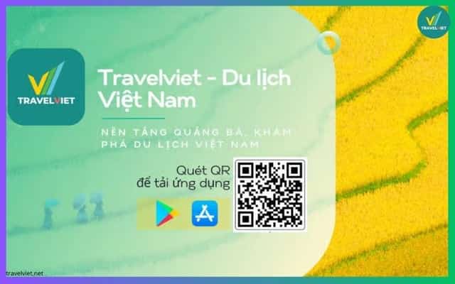 TravelViet - Kênh bán phòng hot nhất Việt Nam