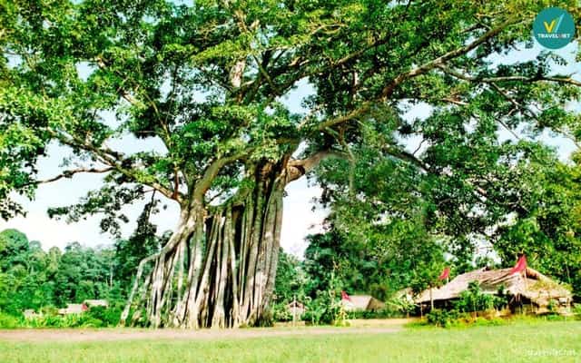 Khu di tích Tân Trào