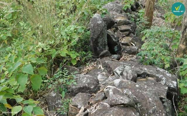 Di chỉ khảo cổ Núi Đọ