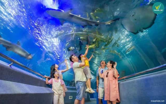 Khám phá Viện Hải dương học Nha Trang
