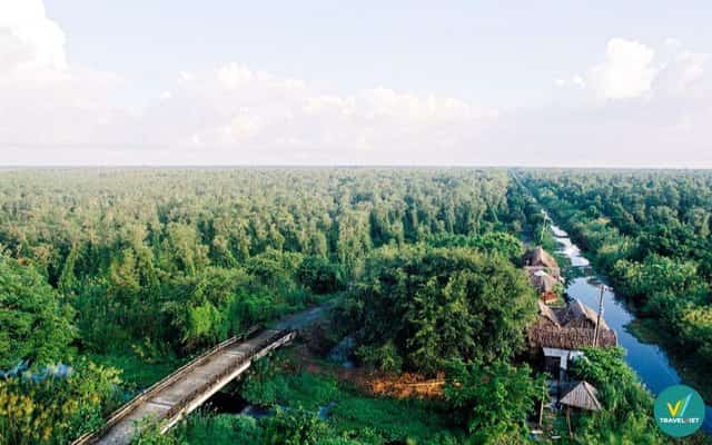 Rừng tràm U Minh Hạ
