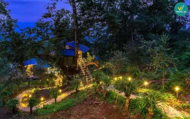 Homestay Nhà tổ chim