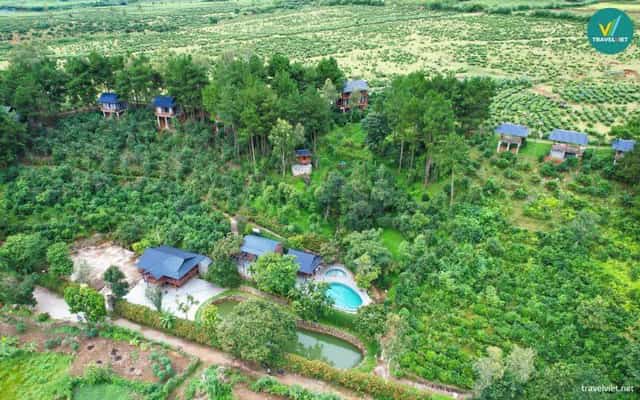 Tân Uyên Paradise