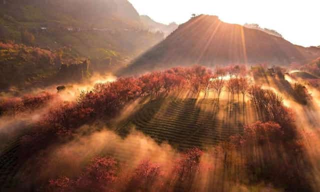 sapa