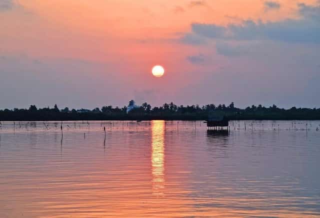 Từng đàn cò,vịt trời,vạc… bay về tìm nơi trú ngụ qua đêm ve