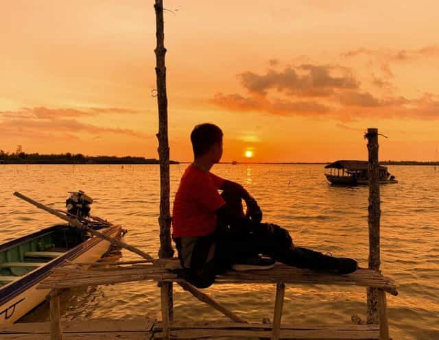 Từng đàn cò,vịt trời,vạc… bay về tìm nơi trú ngụ qua đêm
