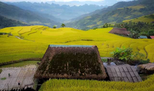 Độc đáo ngôi làng mái rêu xanh mướt - "Góc cổ tích" giữa lòng cao nguyên đá