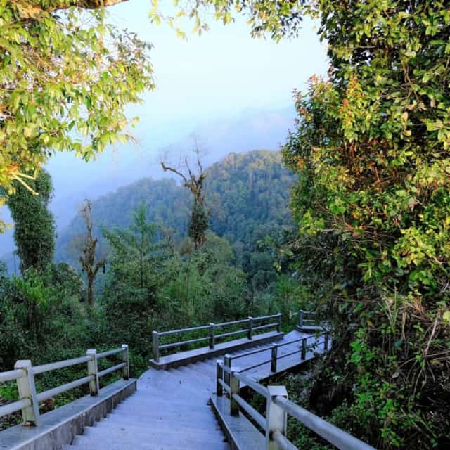 a pa chải