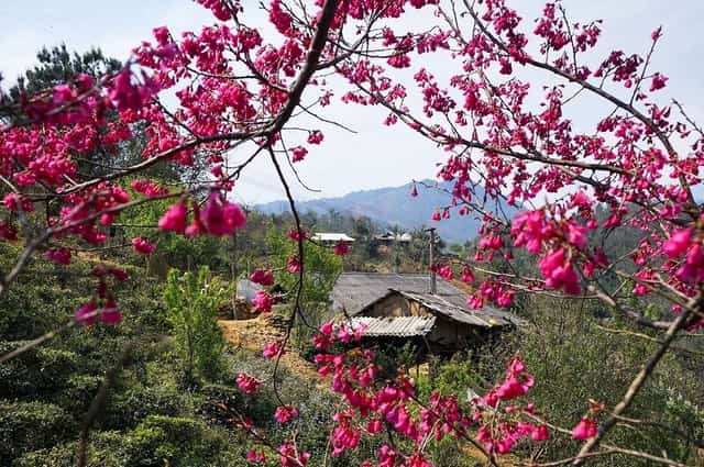 Chạm đỉnh Núi Múa