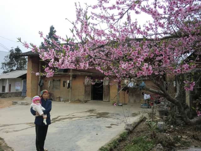 Kinh Nghiệm du lịch Phó Bảng