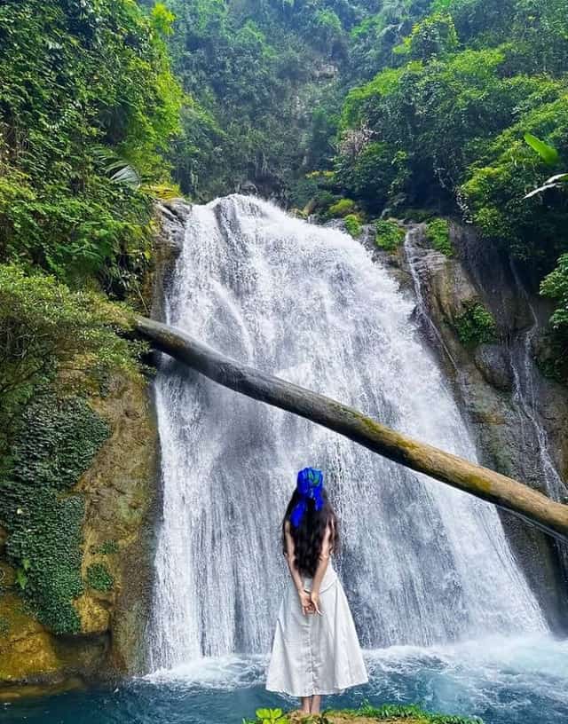 瀑布隐匿于翠绿的山林之间2