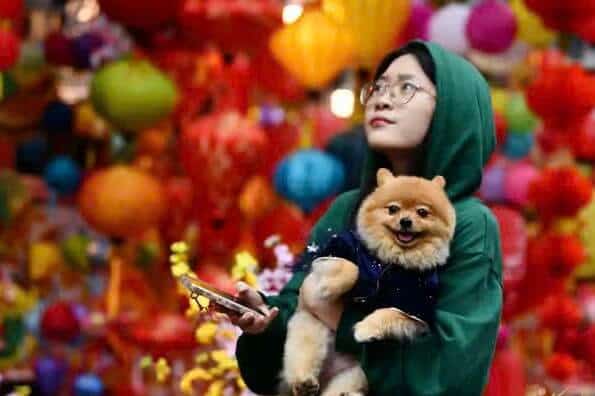 Hang Luoc Flower Marketfffffffffyg