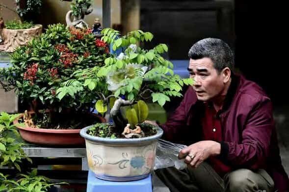 Hang Luoc Flower Market4r9i7-9[-