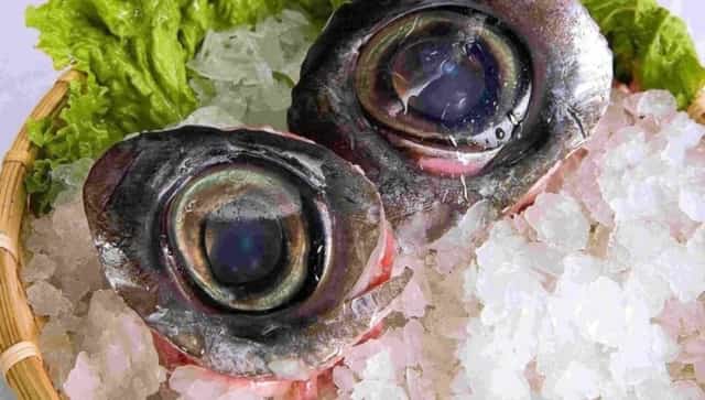 Tuna eyes - Delicious dish to try