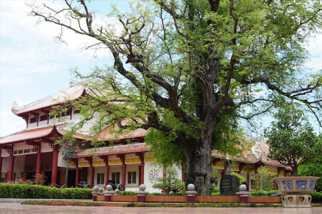Thời điểm đi du lịch bảo tàng Quang Trung