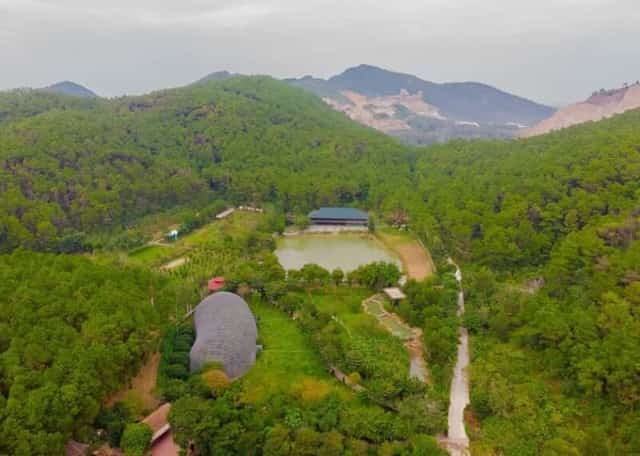 绿村生态林园